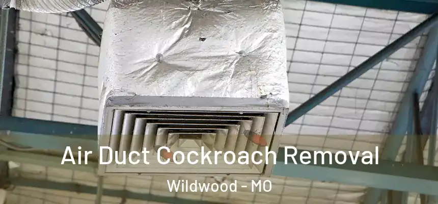 Air Duct Cockroach Removal Wildwood - MO