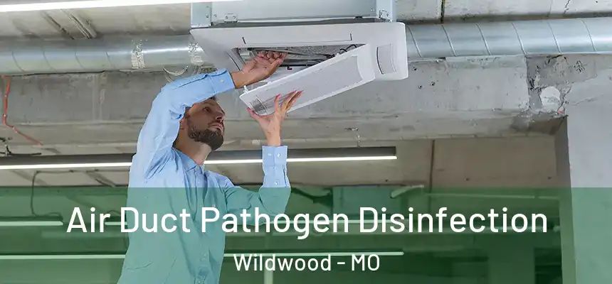 Air Duct Pathogen Disinfection Wildwood - MO