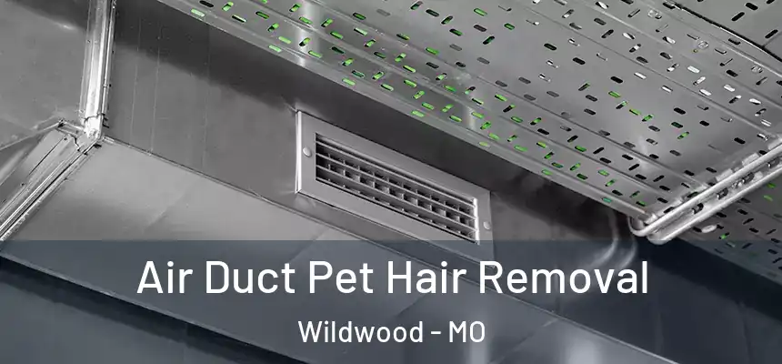 Air Duct Pet Hair Removal Wildwood - MO