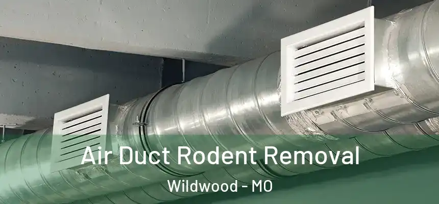 Air Duct Rodent Removal Wildwood - MO