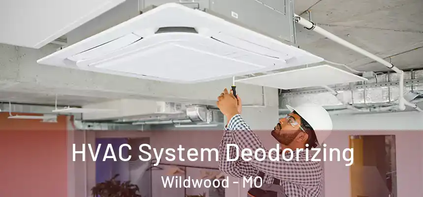  HVAC System Deodorizing Wildwood - MO