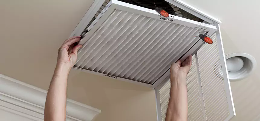 Preventive Cockroach-Proofing for Ducts in Wildwood