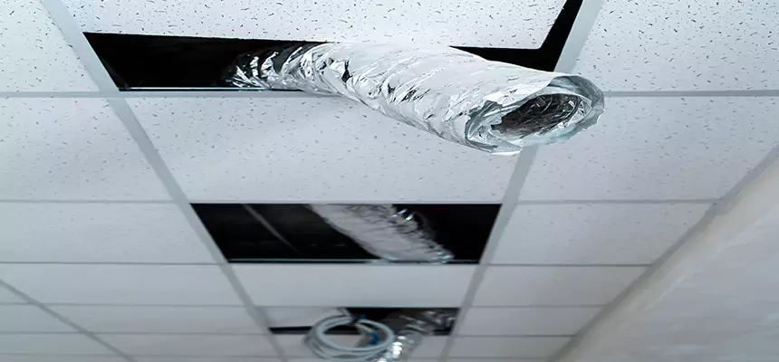 Affordable HVAC Sanitizing After Pest Removal in Wildwood