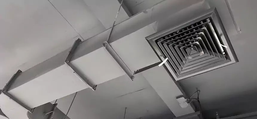 Restorative Allergy Relief Vent Cleaning – Coil, Blower & Housing Detail in Wildwood