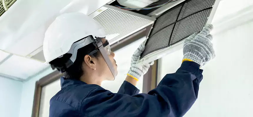 Our Mold & Mildew Removal from Air Ducts Services in Wildwood, MO