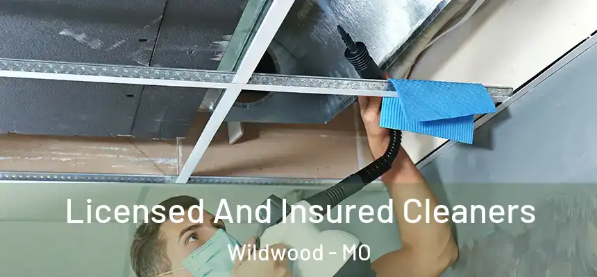 Licensed And Insured Cleaners Wildwood - MO