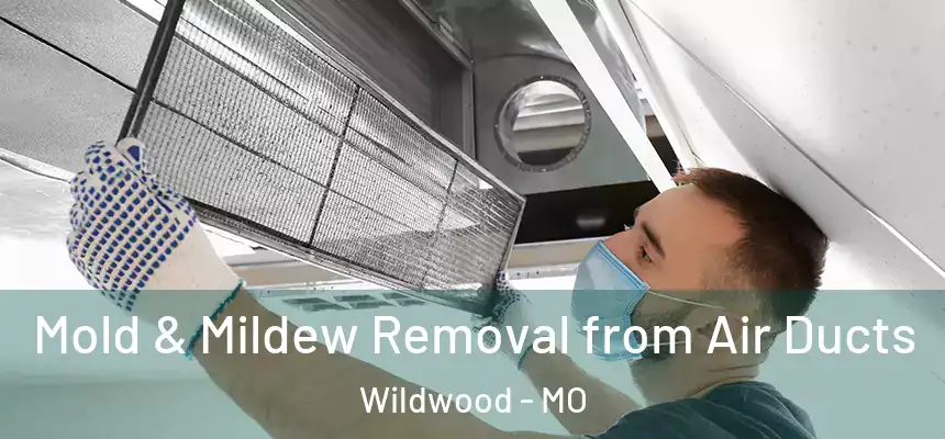  Mold & Mildew Removal from Air Ducts Wildwood - MO