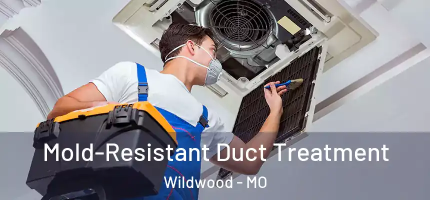 Mold-Resistant Duct Treatment Wildwood - MO