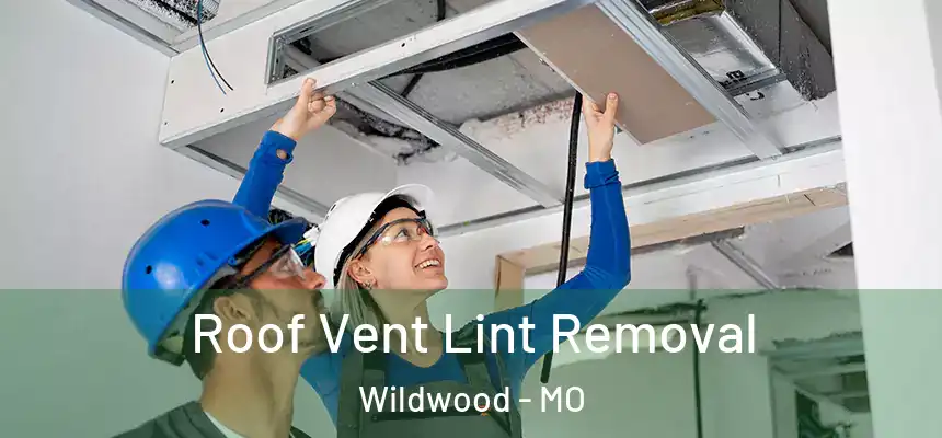 Roof Vent Lint Removal Wildwood - MO