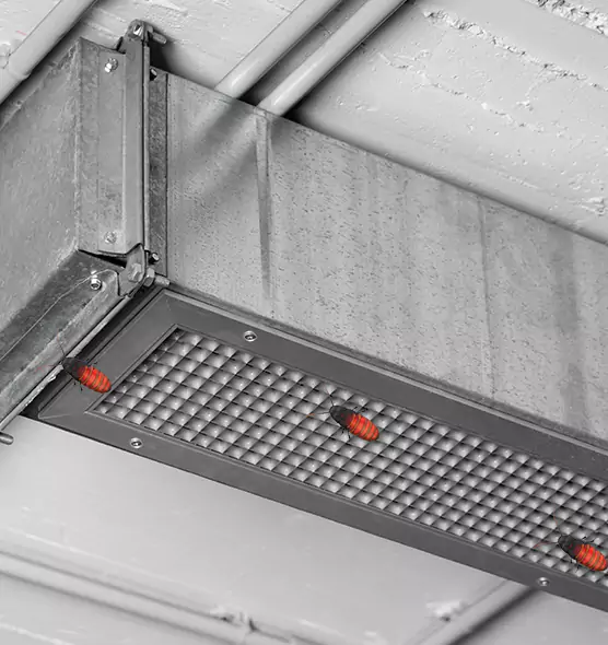 About Air Duct Cockroach Removal in Wildwood, MO