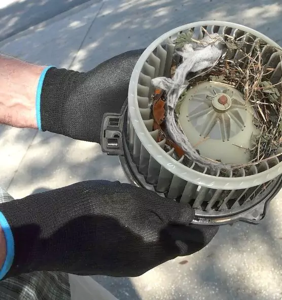 About Air Duct Mice Removal in Wildwood, MO