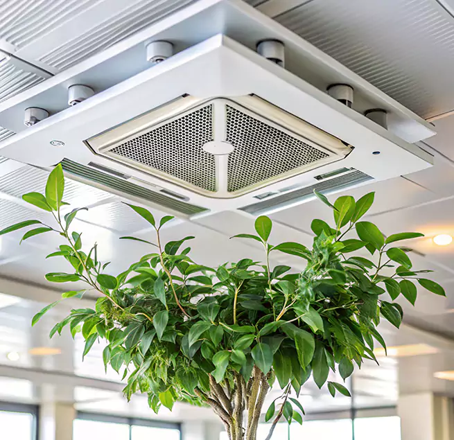 Why Homeowners & Businesses Trust Us in Wildwood, MO