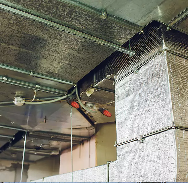 Why Homeowners & Businesses Trust Us Wildwood, MO?