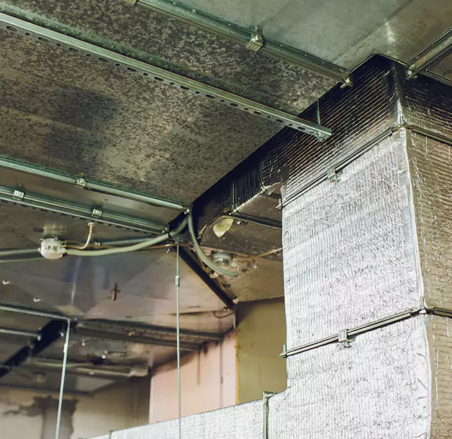 Why Homeowners & Businesses Trust Us in Wildwood, MO?